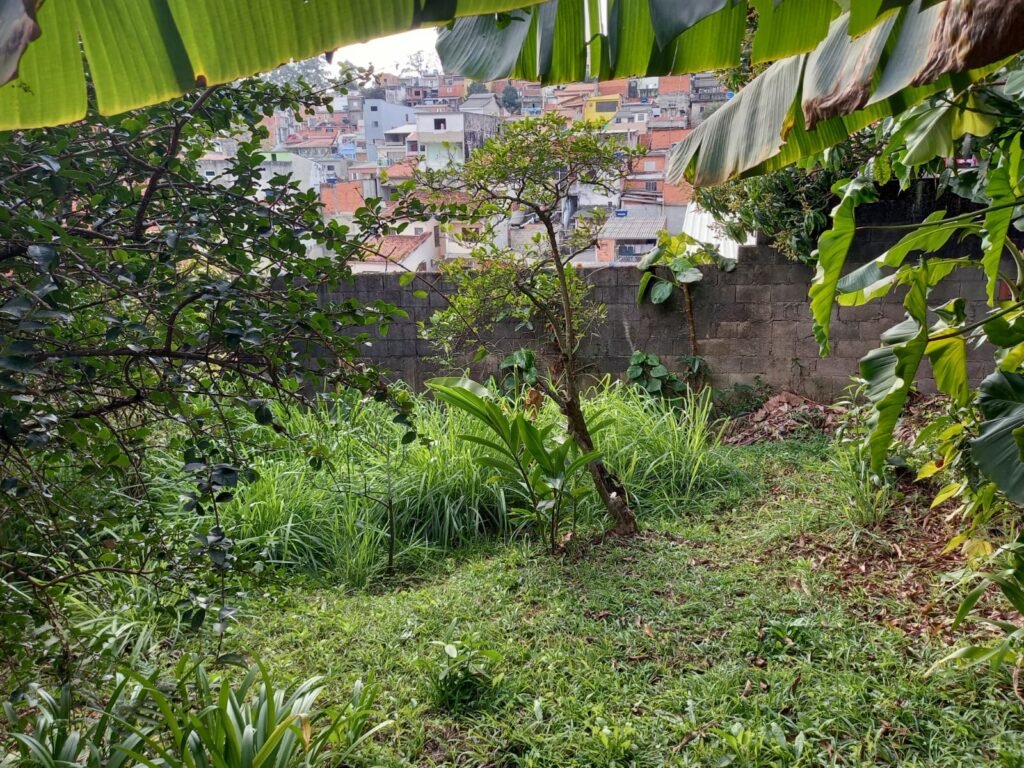 WhatsApp Image 2025-08-22 at 16.07.44 (2)