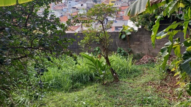 WhatsApp Image 2025-08-22 at 16.07.44 (2)