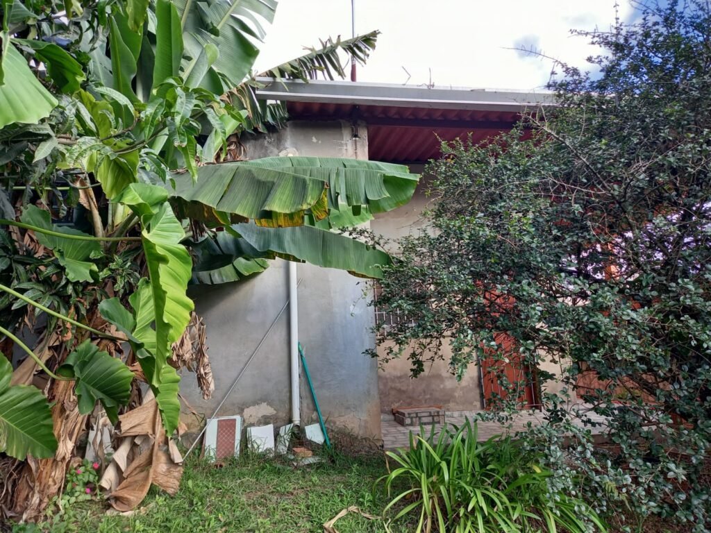 WhatsApp Image 2025-08-22 at 16.07.45