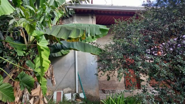 WhatsApp Image 2025-08-22 at 16.07.45