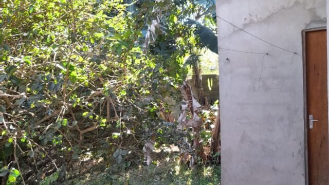 WhatsApp Image 2025-09-10 at 10.11.06 (1)