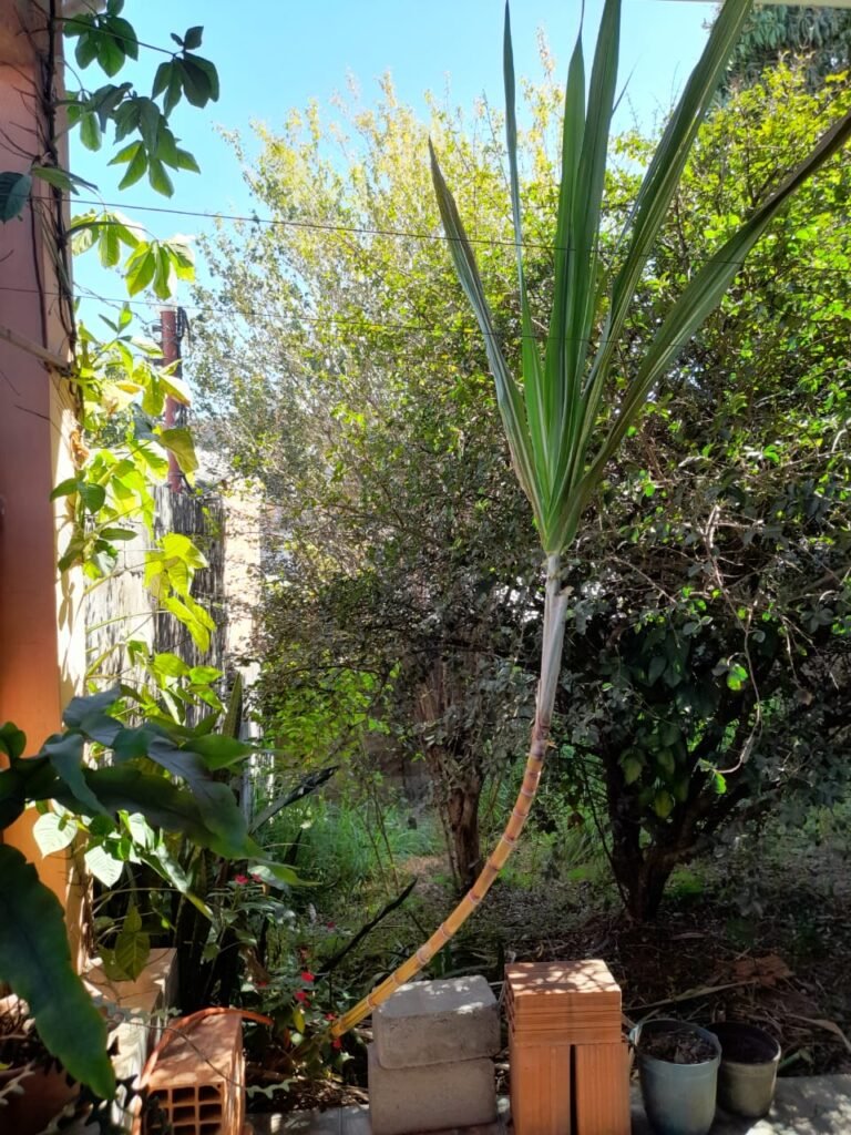 WhatsApp Image 2025-09-10 at 10.11.06