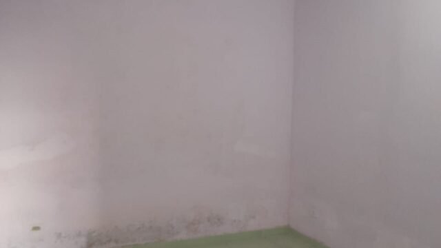 WhatsApp Image 2025-09-10 at 10.11.12 (1)